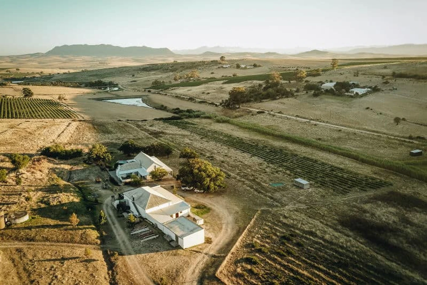 Lammershoek — Swartland wine estate, Western Cape