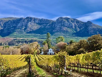 Buitenverwachting Winery – Weingut in Constantia