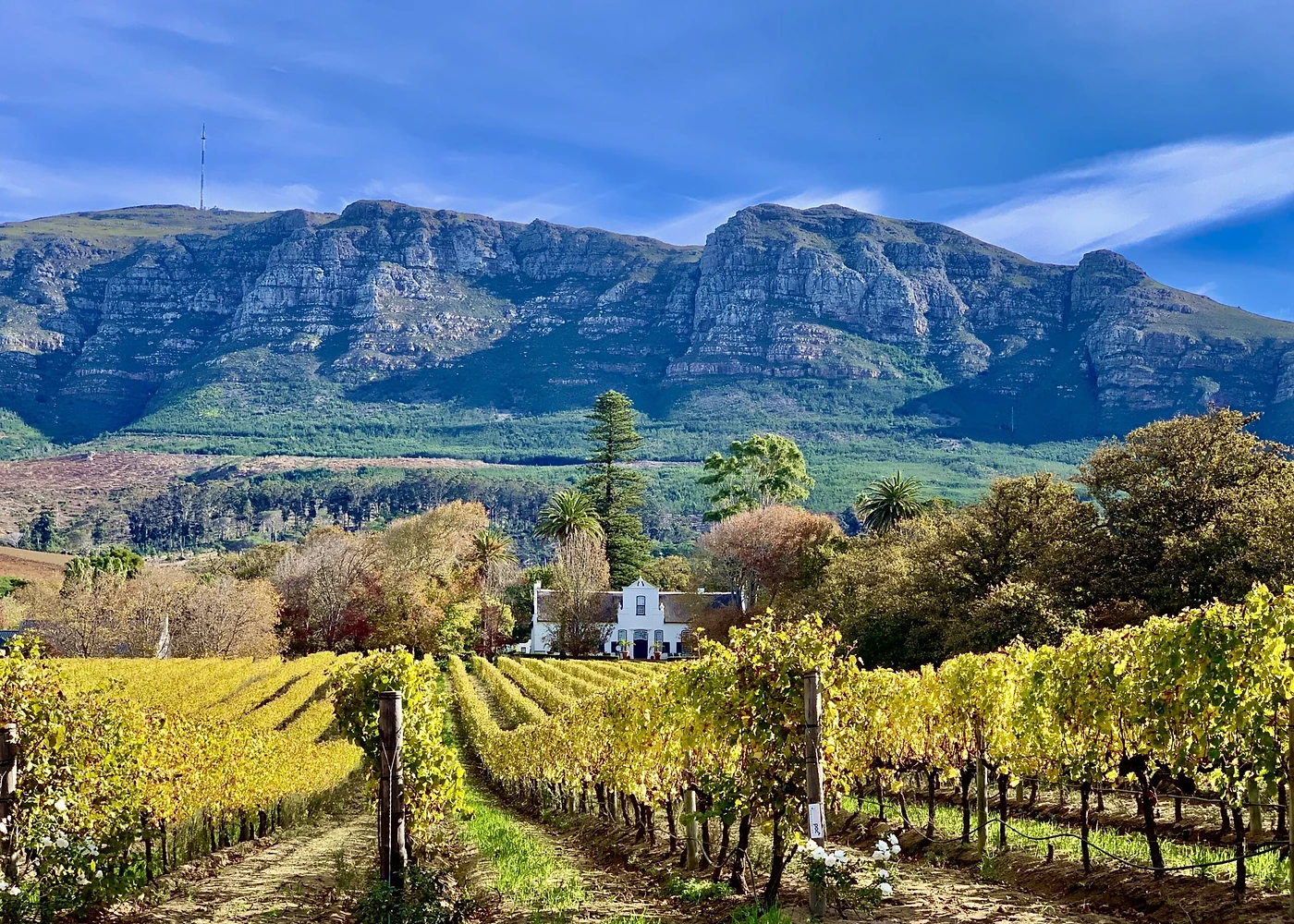 Buitenverwachting Winery — Constantia wine estate, Western Cape