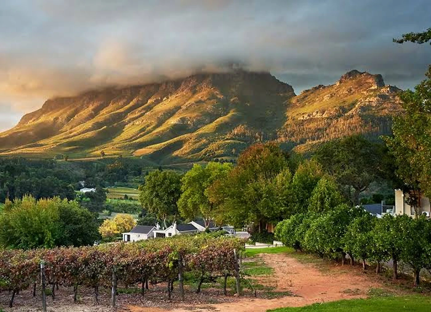 Alluvia Boutique Winery — Stellenbosch wine estate, Western Cape