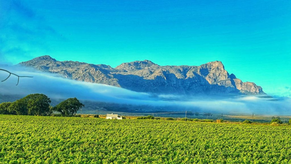 Franschhoek Wine Walk wine tour