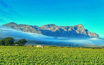 Weinwanderung durch Franschhoek