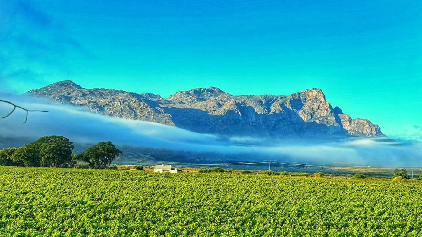 Franschhoek Wine Walk — Franschhoek wine tour