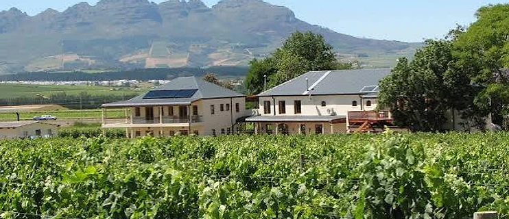 Lovane Wine Estate conference venue in Stellenbosch