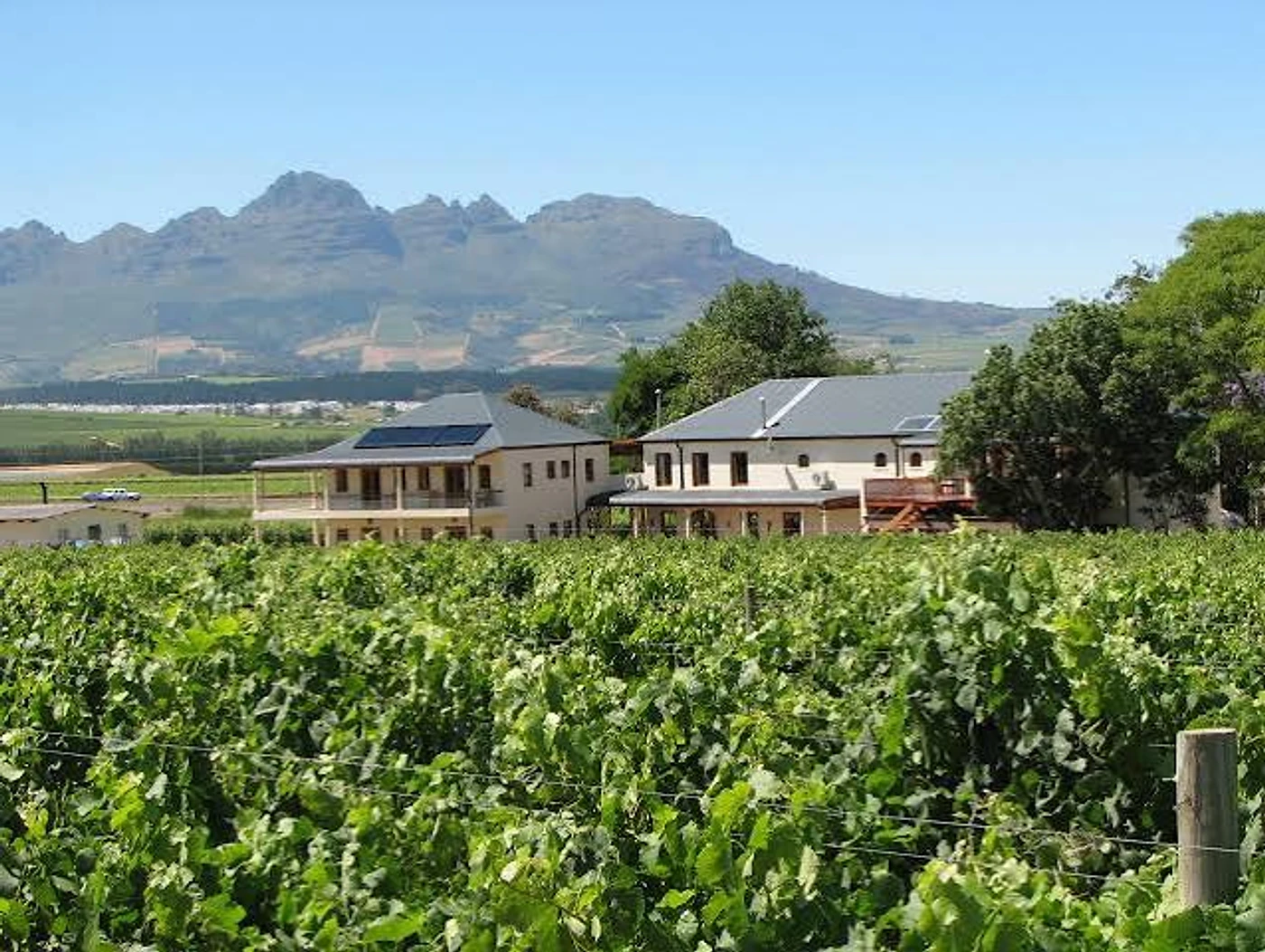 Lovane Wine Estate — Stellenbosch wine estate, Western Cape