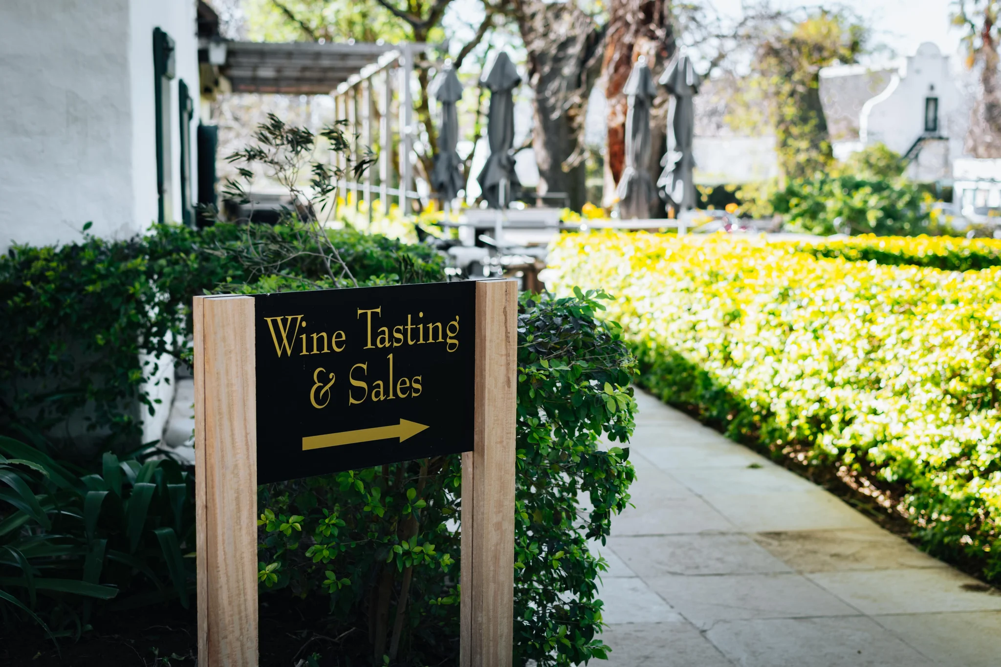Wine Tours in Constantia: 3 Estates Near Cape Town Worth Visiting