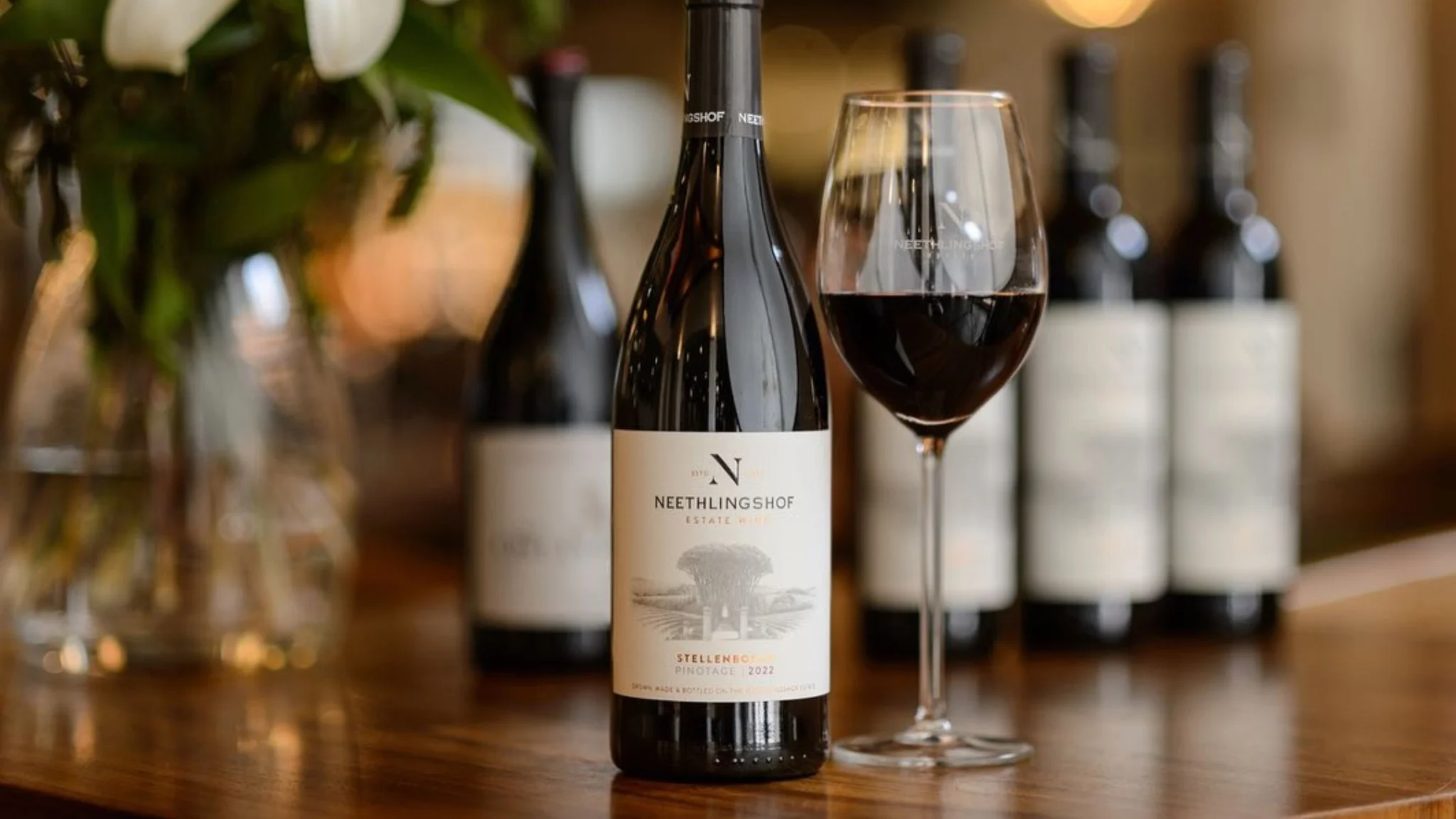 A Beginner’s Guide to South African Wine: Types of Wine You Need to Know