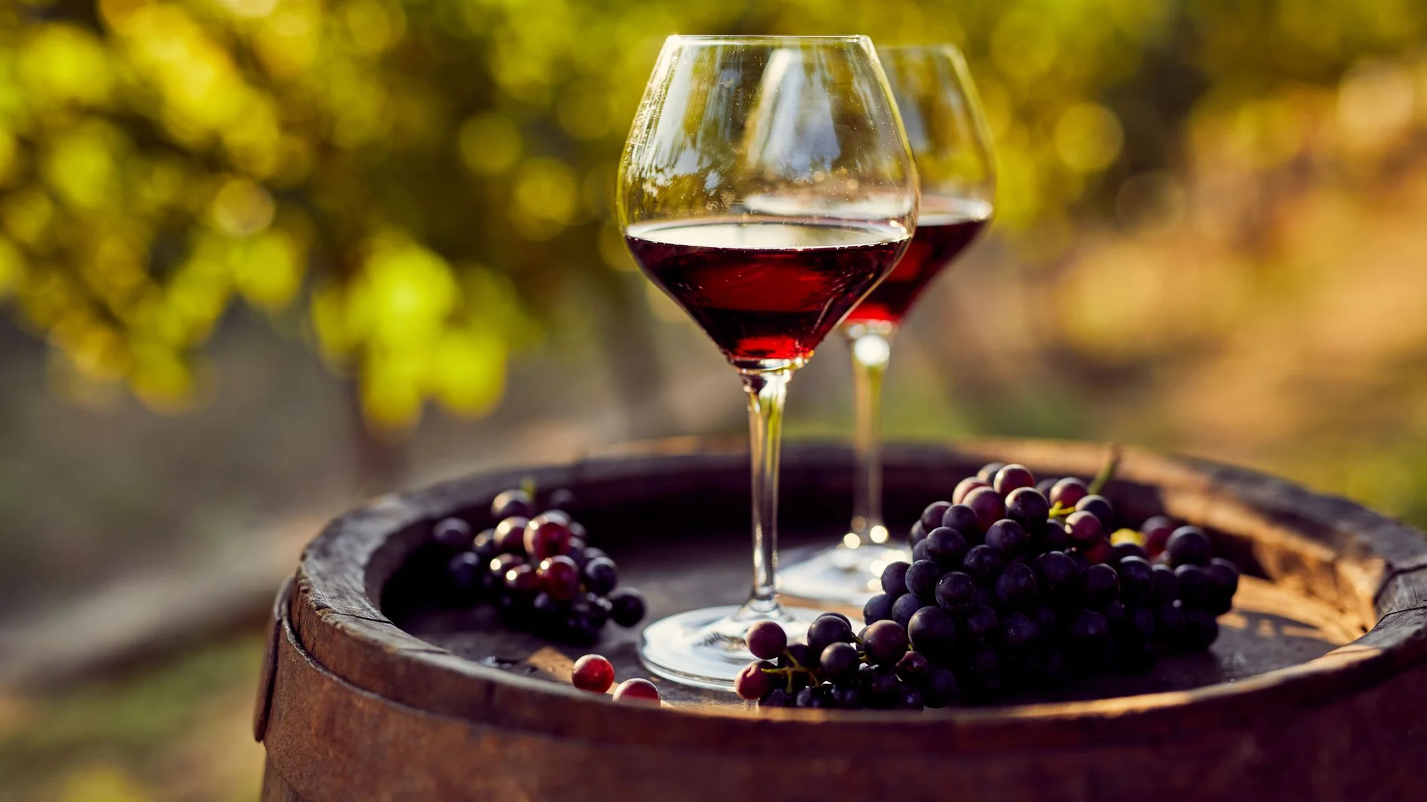 How Red Wine is Made: From Grape to Glass