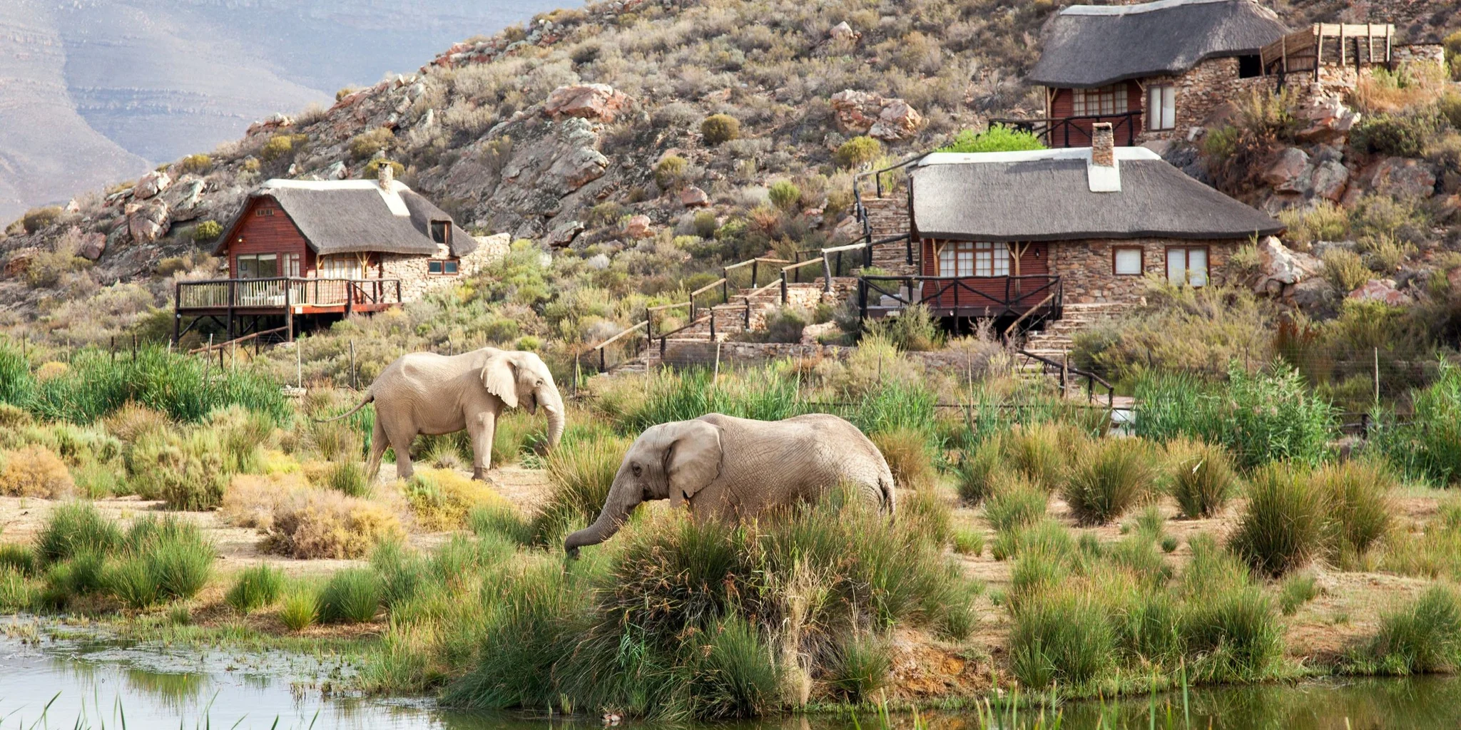 Aquila Game Reserve Safari Experience