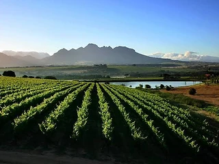 MAN Family Wines — Paarl wine estate