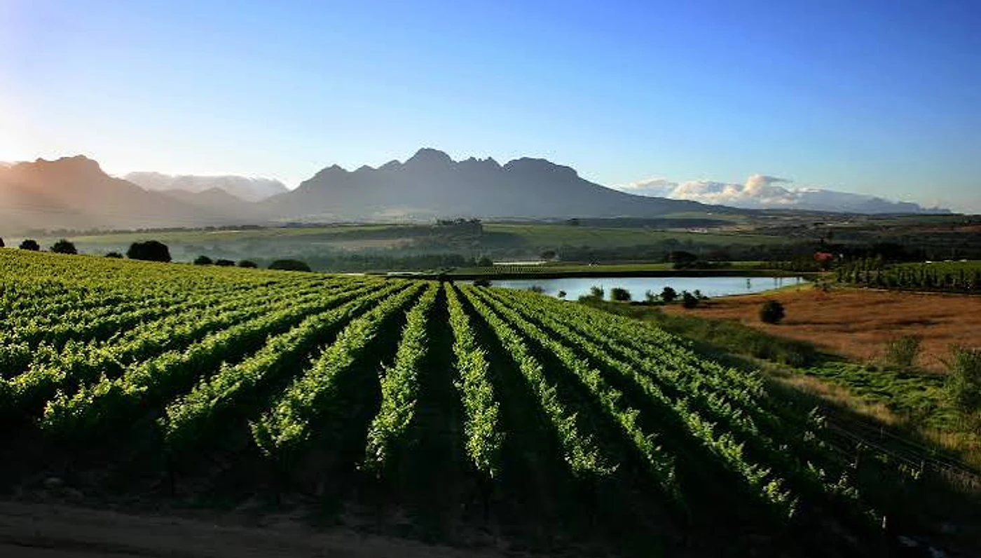 MAN Family Wines — Paarl wine estate, Western Cape