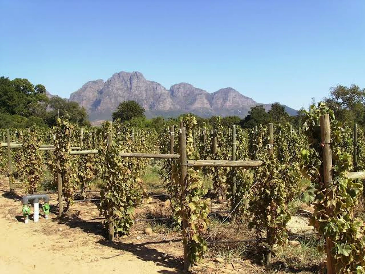 Solms Delta — Franschhoek wine estate, Western Cape