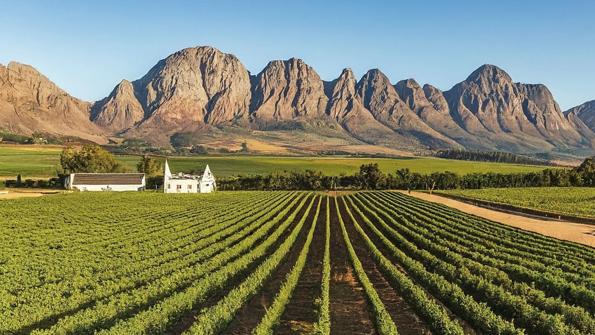 Undiscovered Wine Farms in Paarl