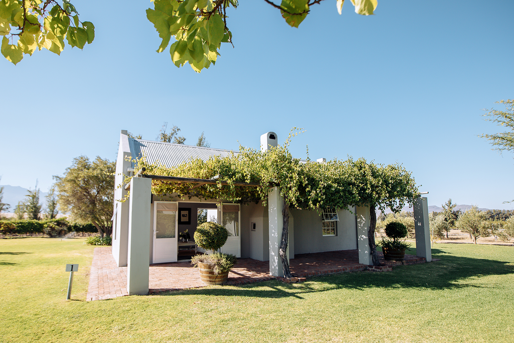 Saronsberg Winery accommodation in Tulbagh