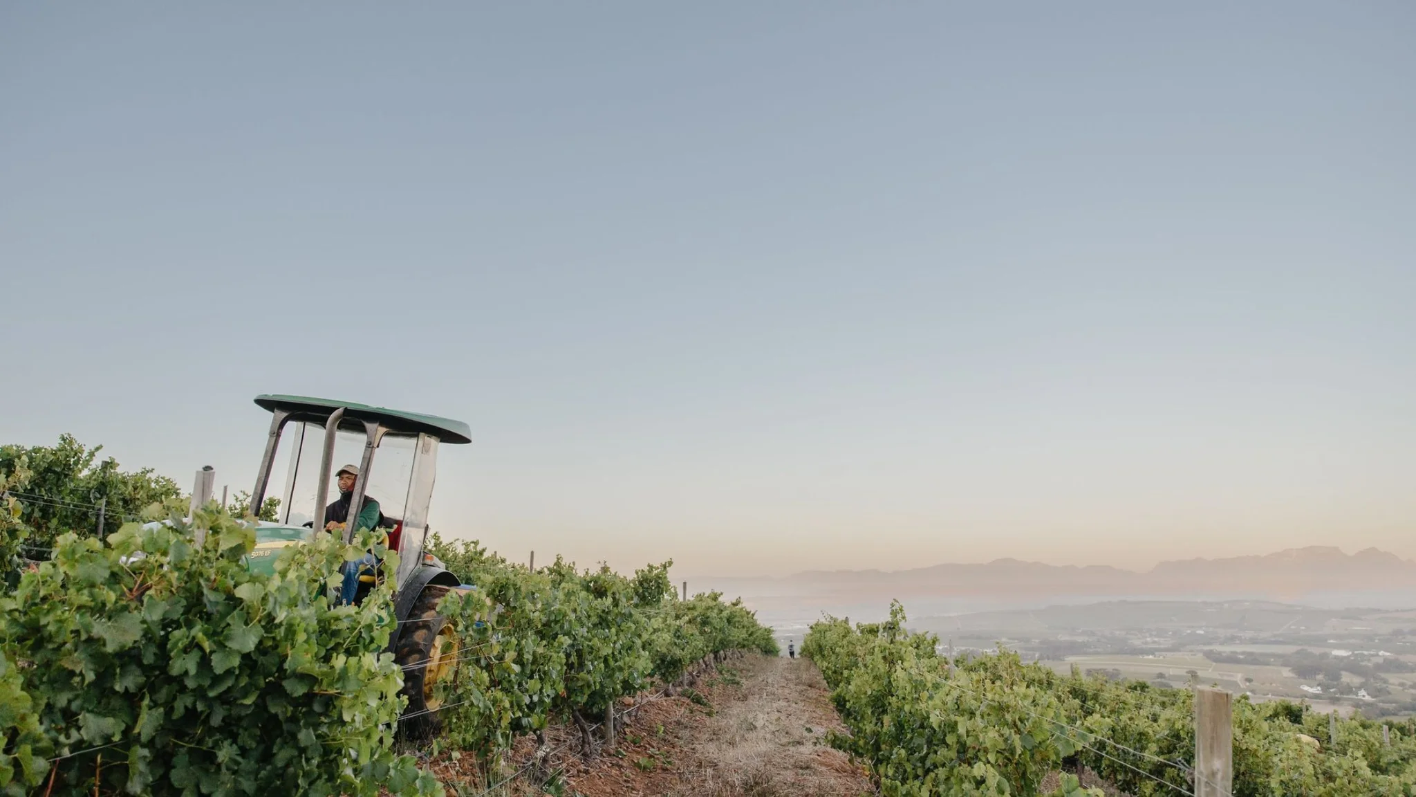 Cape Winelands Highlights