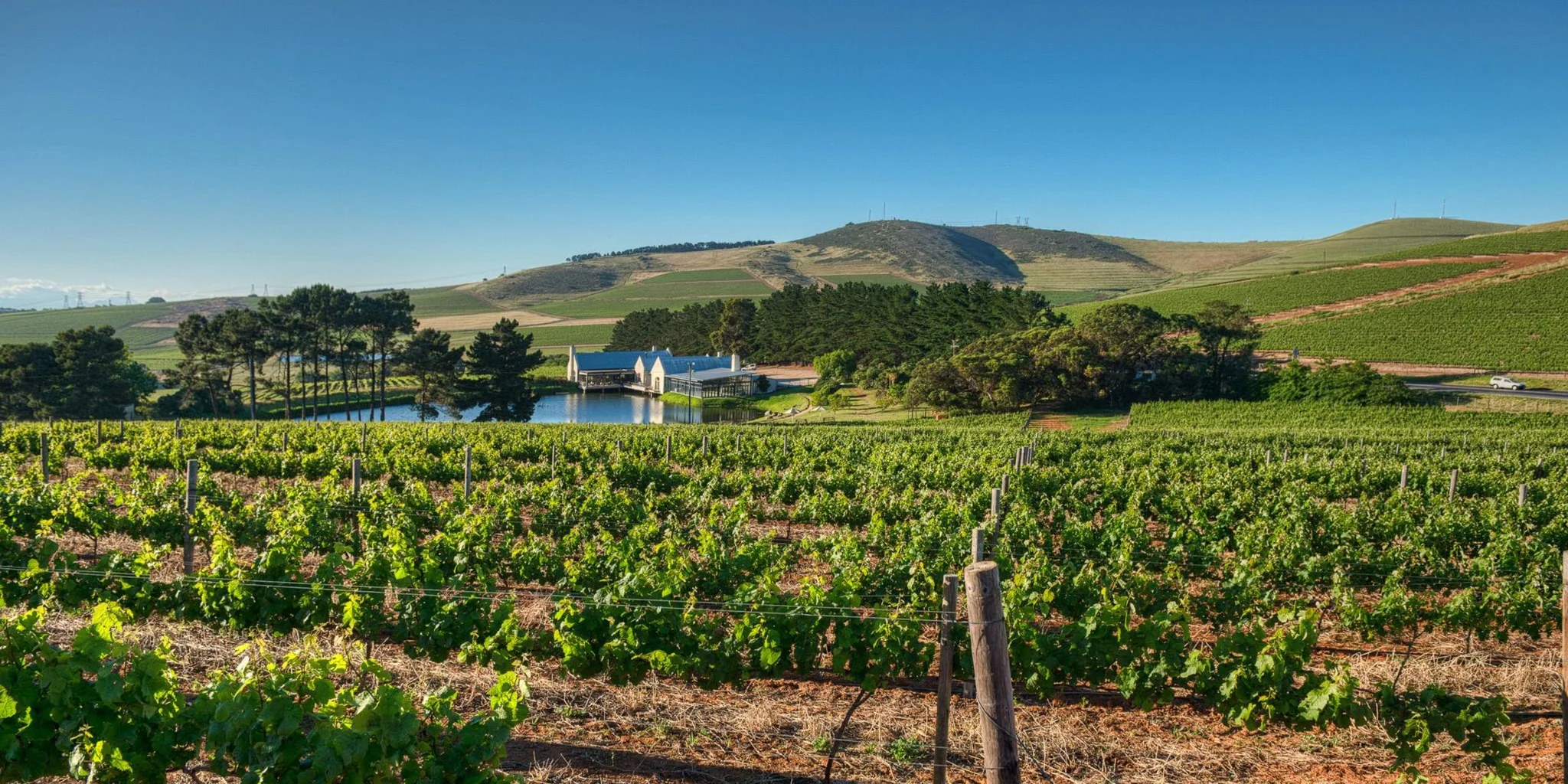 Top Wine Farms in Durbanville
