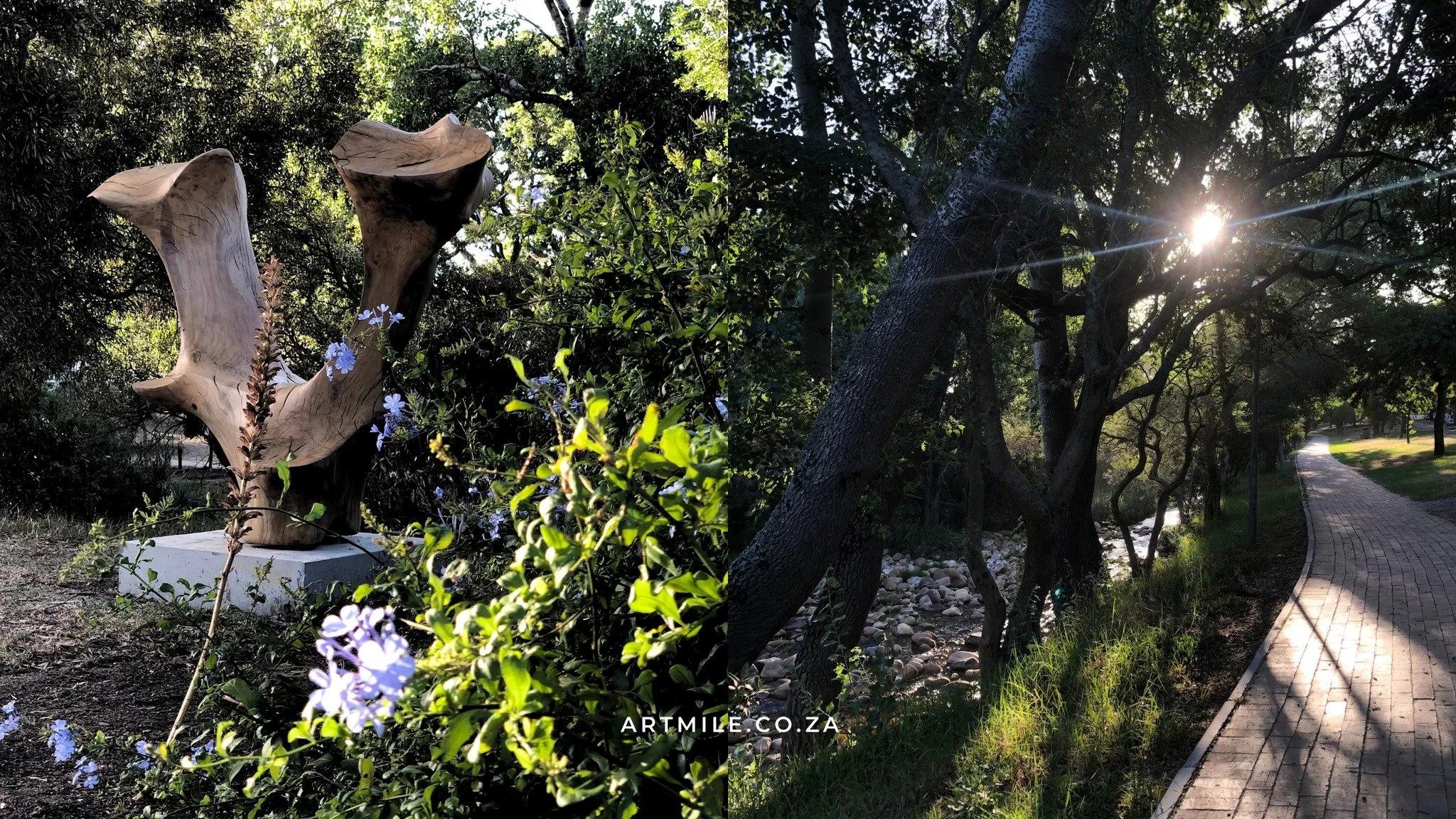 Discover the Stellenbosch Art Mile