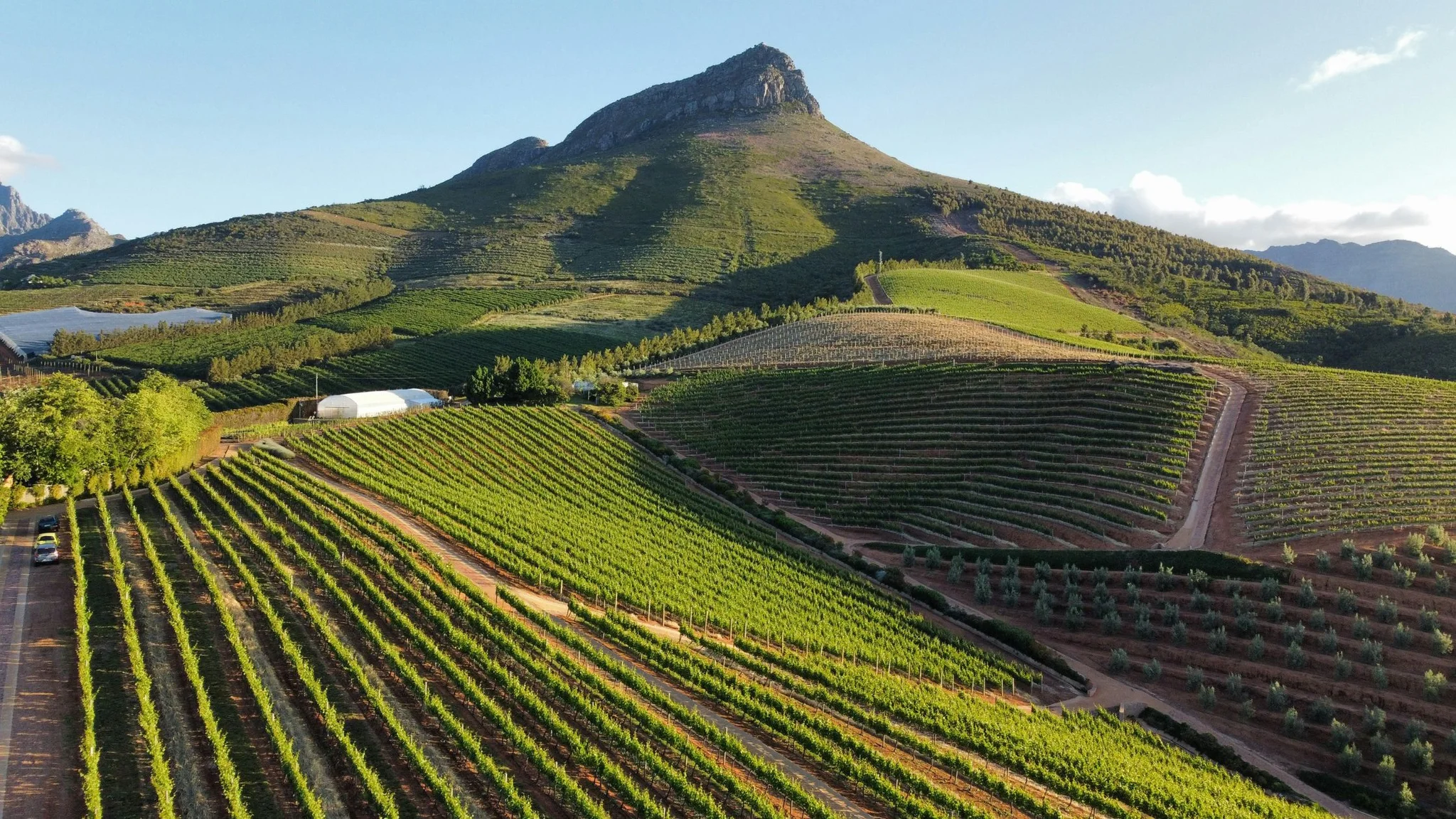 A Guide to Climate Impact on Wine?