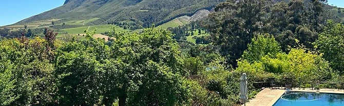 Camberley Wines · photo 1