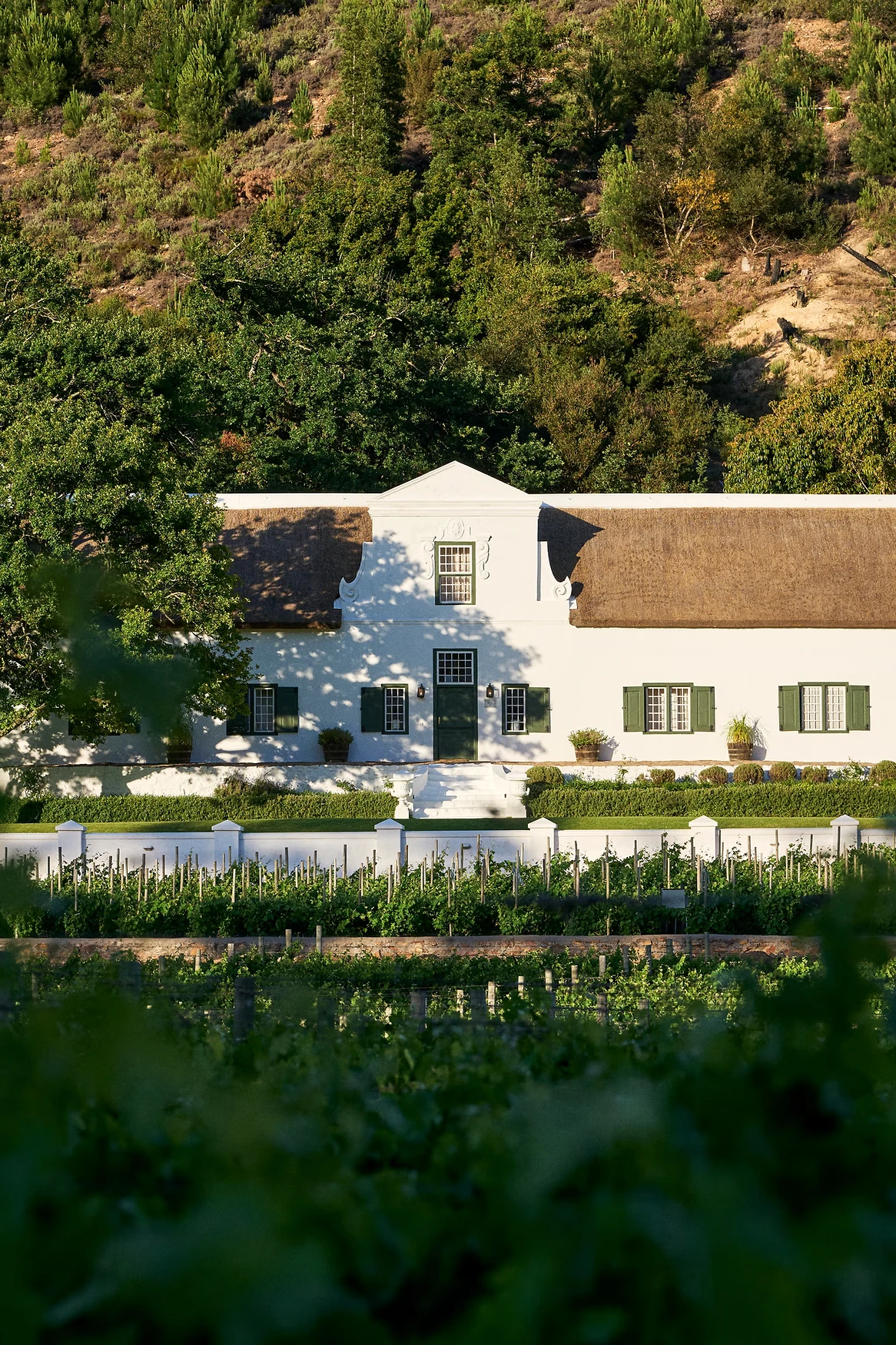 Franschhoek (Nightsbridge) — Franschhoek wine estate, Western Cape