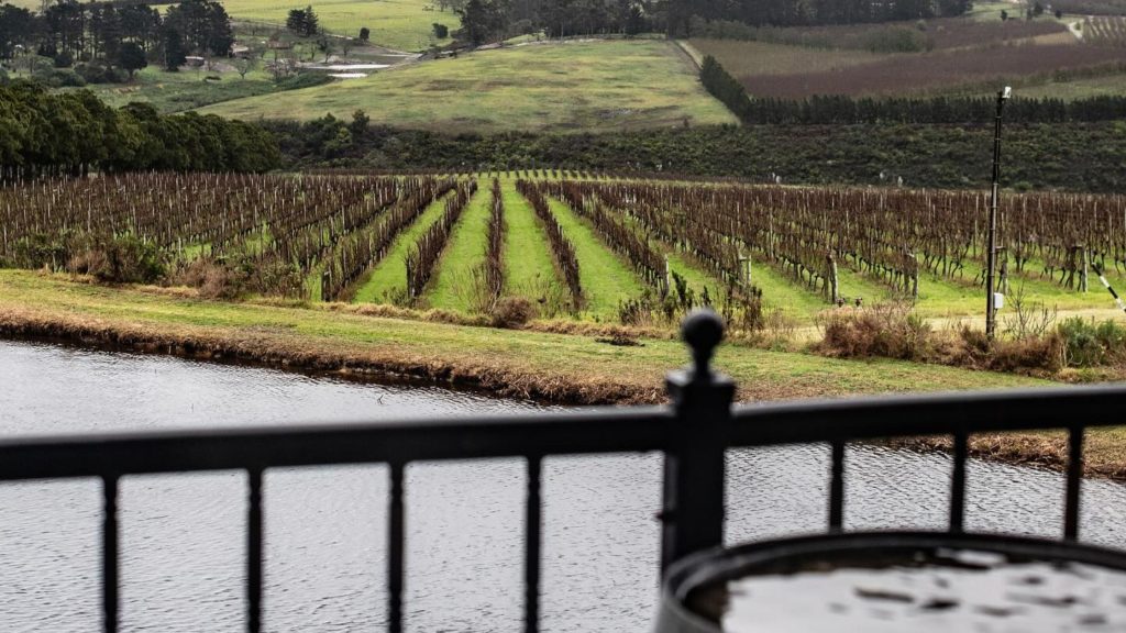 Escape Wines — Overberg wine estate