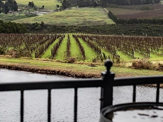 Escape Wines — Overberg wine estate