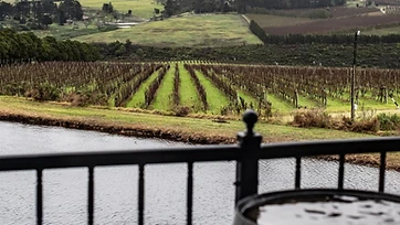 Escape Wines estate