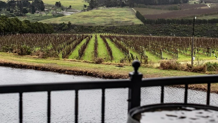 Escape Wines wine estate in Overberg