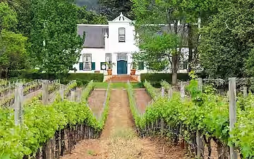 Kinderfreundliche Weintour