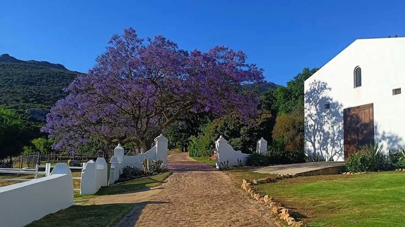 Ayama Wines — Paarl wine estate, Western Cape