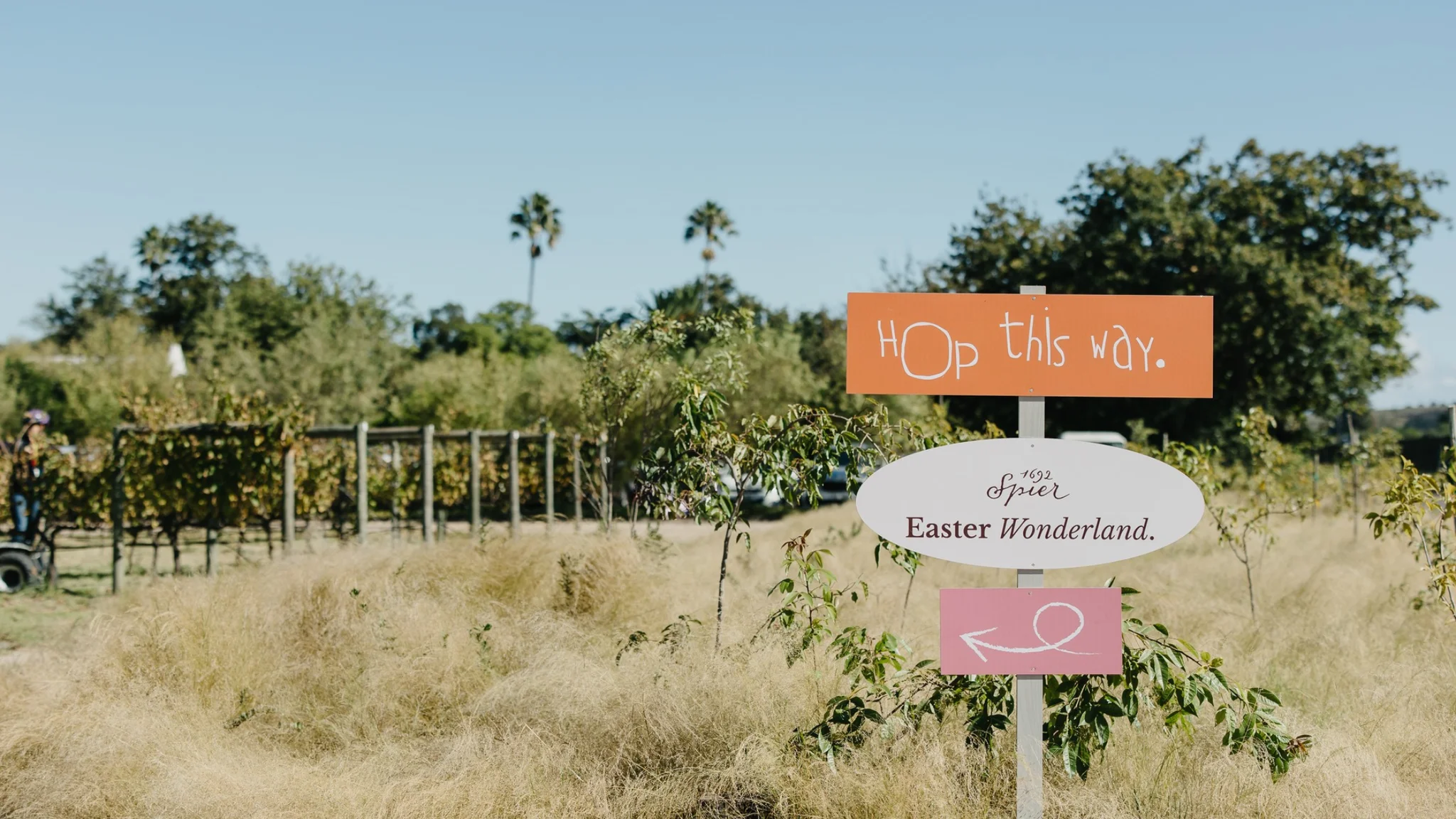 Easter in Stellenbosch