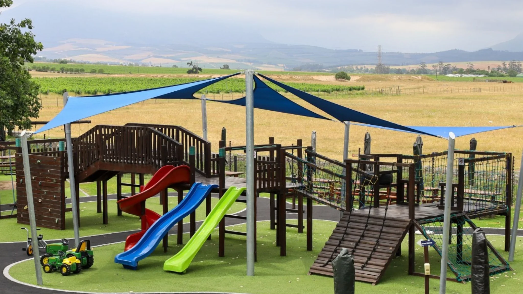 A Guide to Family-Friendly Wine Estates in the Cape