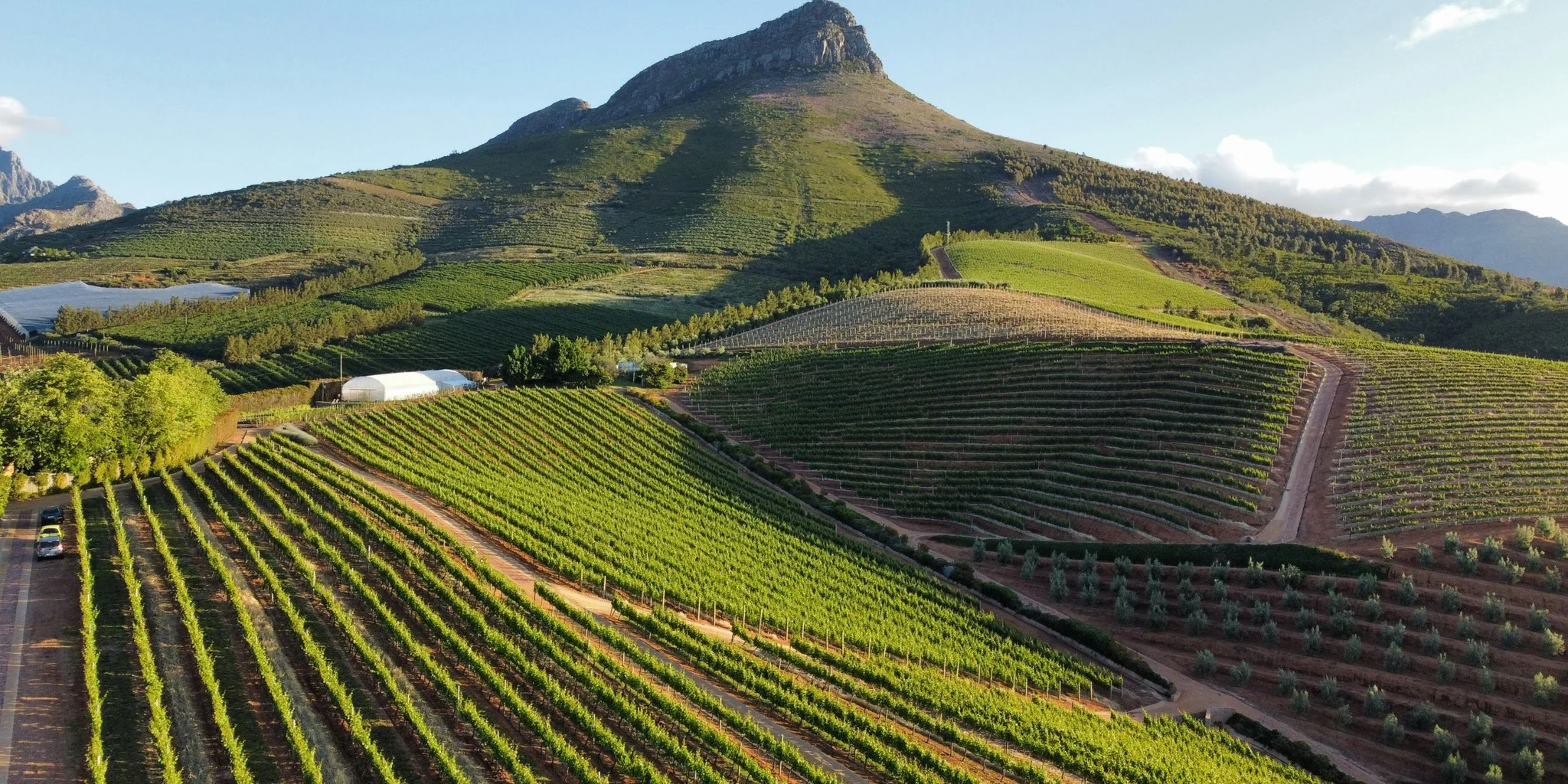 Heritage of Winemaking
