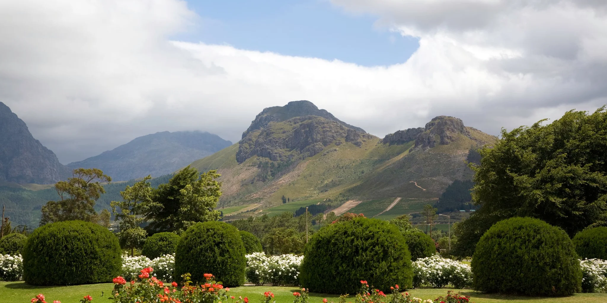 South African Wine And Its History