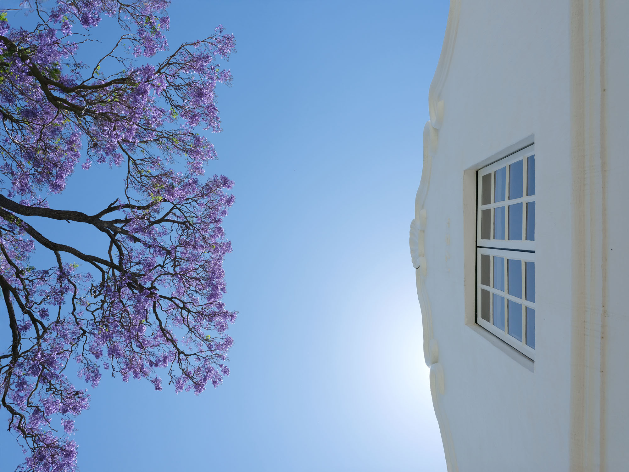 Jacaranda House — photo 1