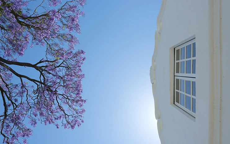 Jacaranda House — photo 1