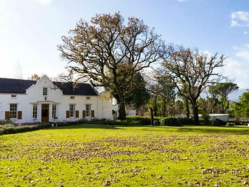 Bellingham Wines – Weingut in Franschhoek