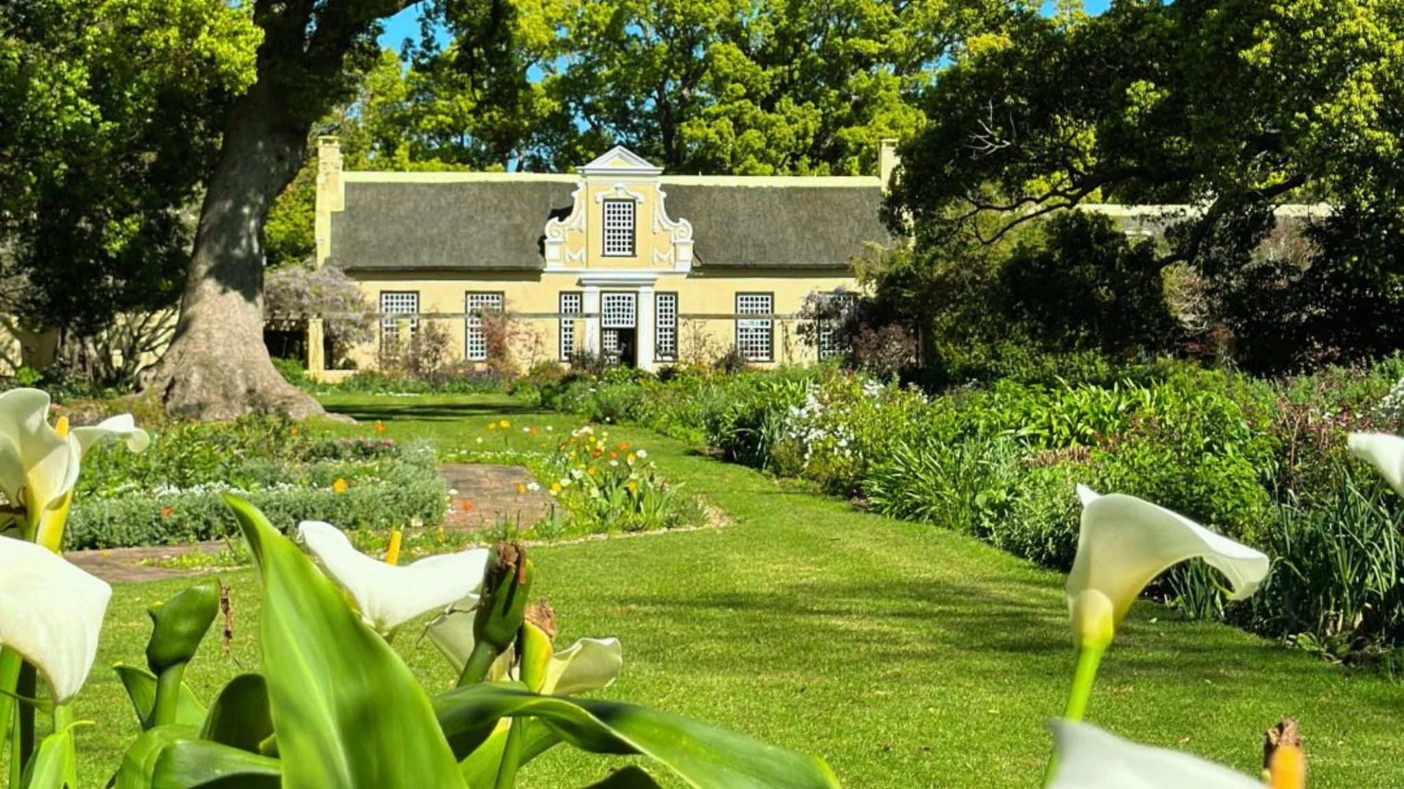Vergelegen Gardens in the Cape Winelands