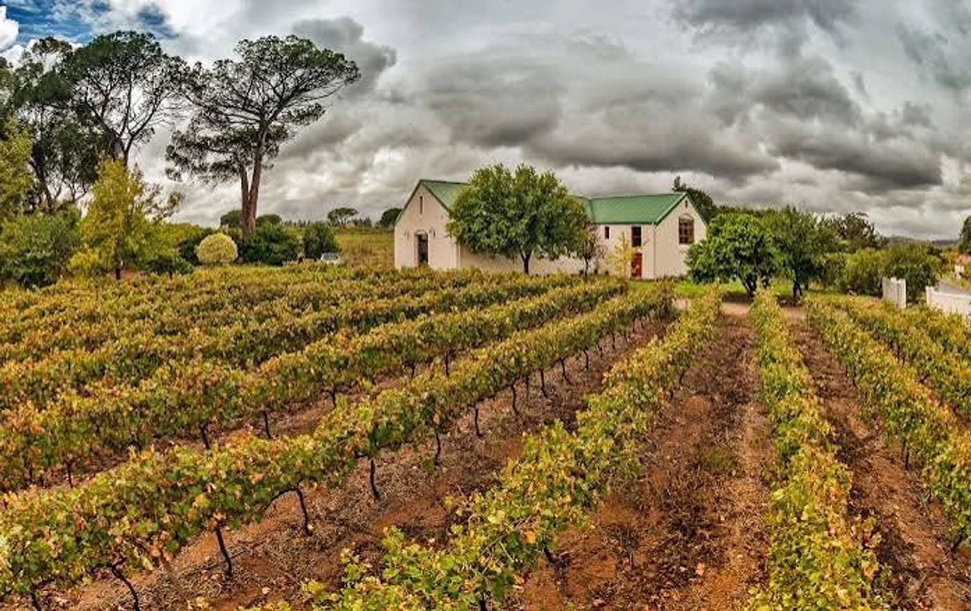 Le Riche Wines — Stellenbosch wine estate, Western Cape