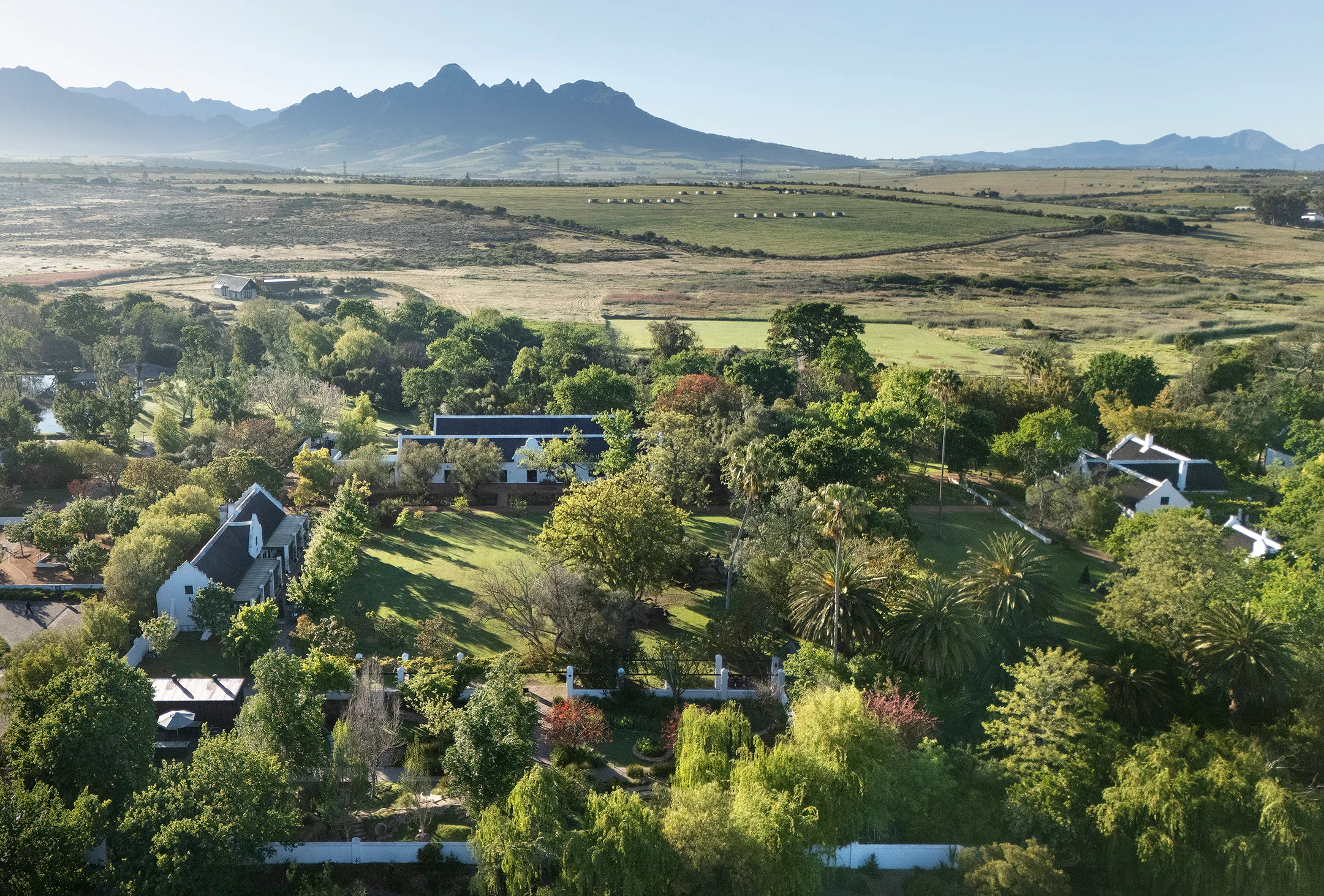 Stellenbosch vineyards with mountains in the background