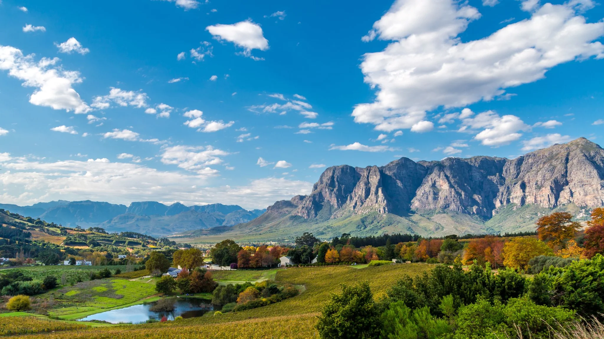 Scenic Cape Road Trips