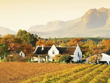 Wellington Wines – Weingut in Wellington