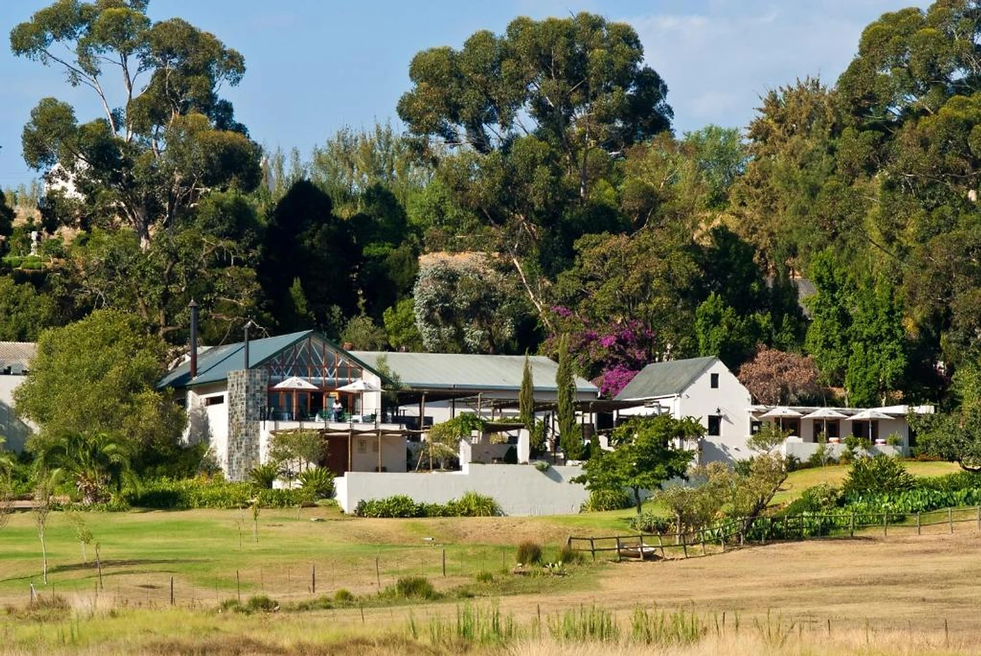 Diemersfontein Wine Estate — Wellington wine estate, Western Cape