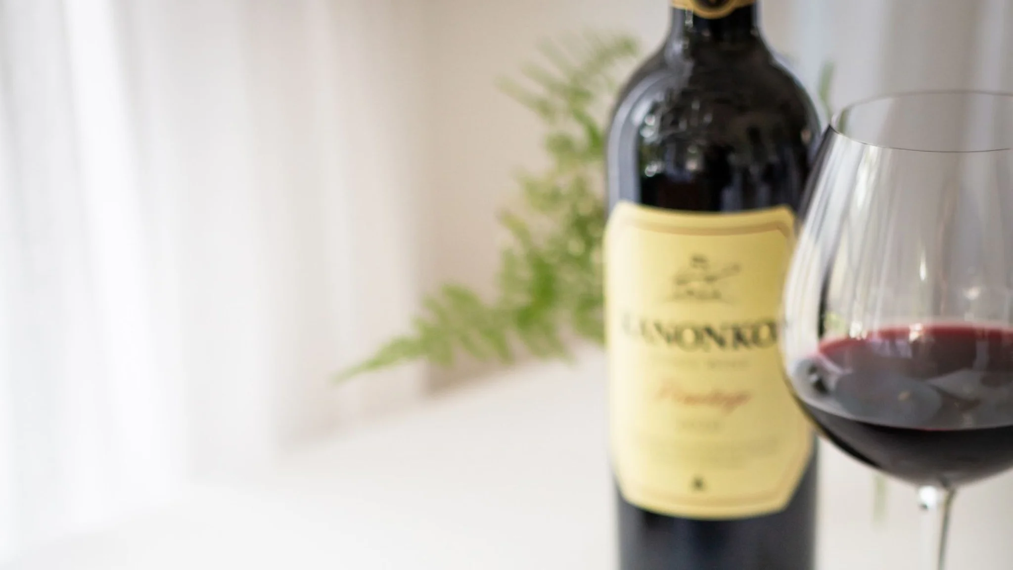 A Guide to Pinotage