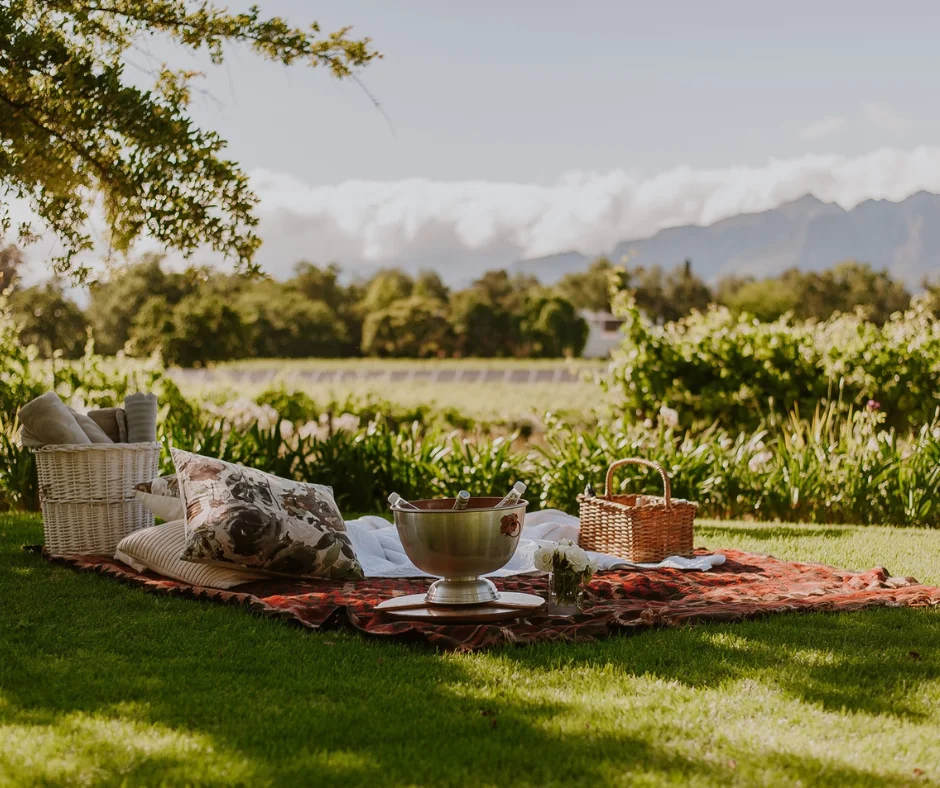 Blog Posts Top 5 Franschhoek Lunch Spots with a View