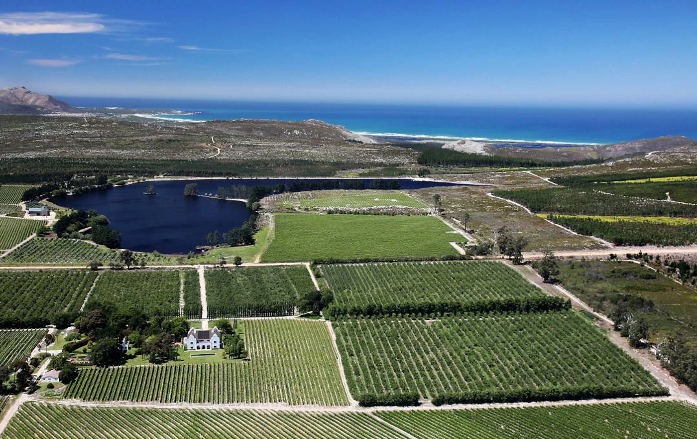 Iona Wines — Cape South Coast wine estate, Western Cape