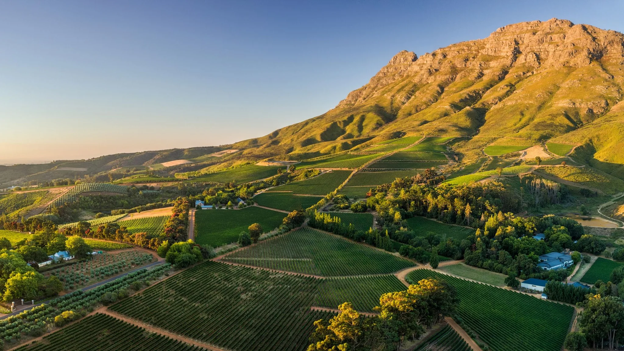 Thelema Mountain Vineyards