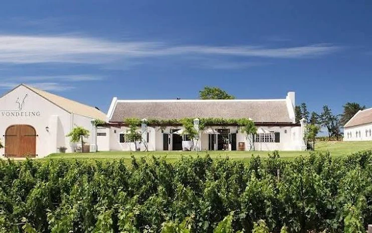 Vondeling Wines