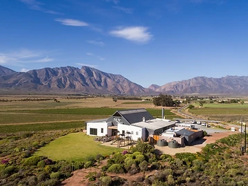 Nuy Winery — Breede River Valley wine estate