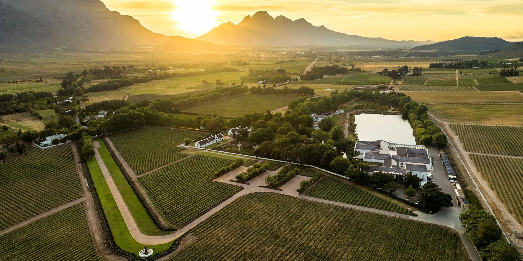 Top Wine Farms in Franschhoek